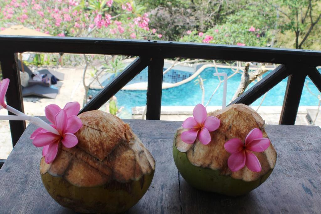 Lombok Coconut Hotel Mangsit Exterior foto